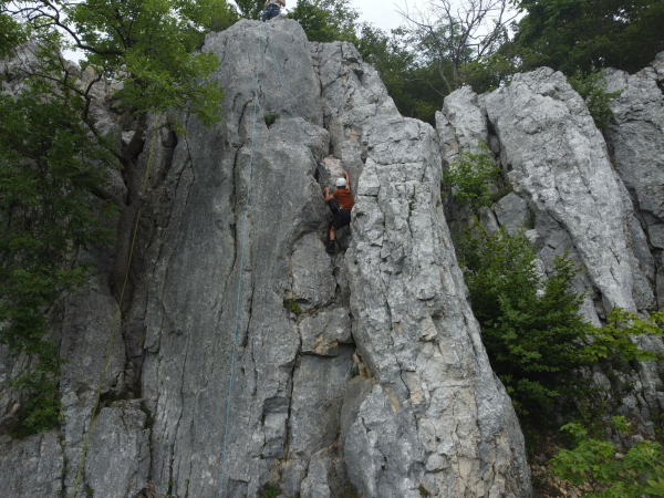 Pfadfinder Kletteraktion 2023