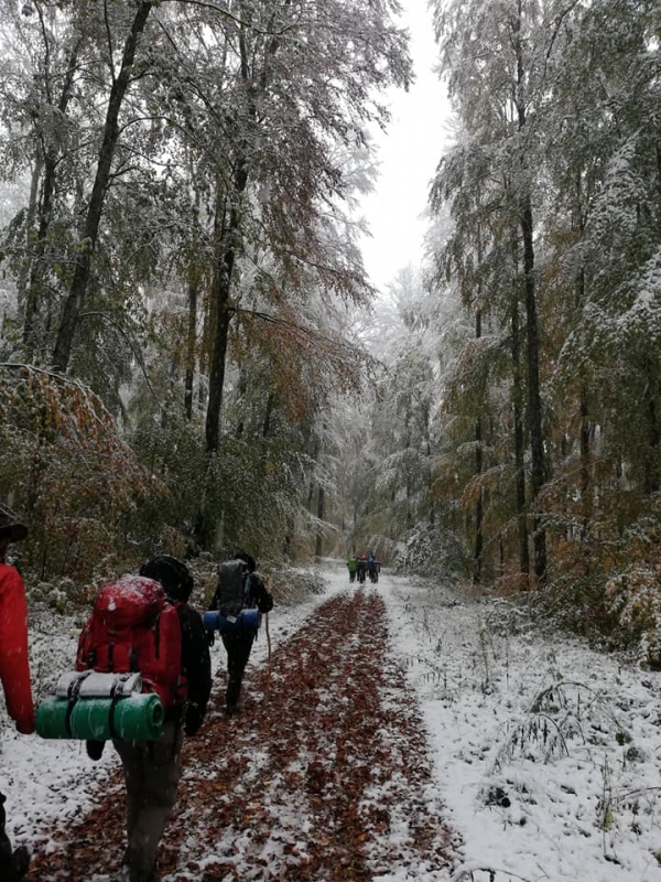 Regionaler Pfadranger Herbsthajk